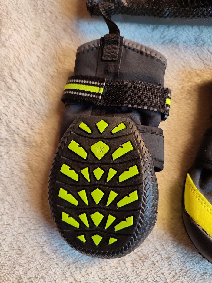 Chaussures pour chien - photo numéro 5