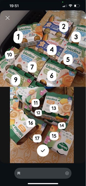 Lot de 17 compotes fruits et légumes 