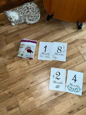 Lot 3tshirt tons roses bordeau neufs lupilu 86-92cm/2ans