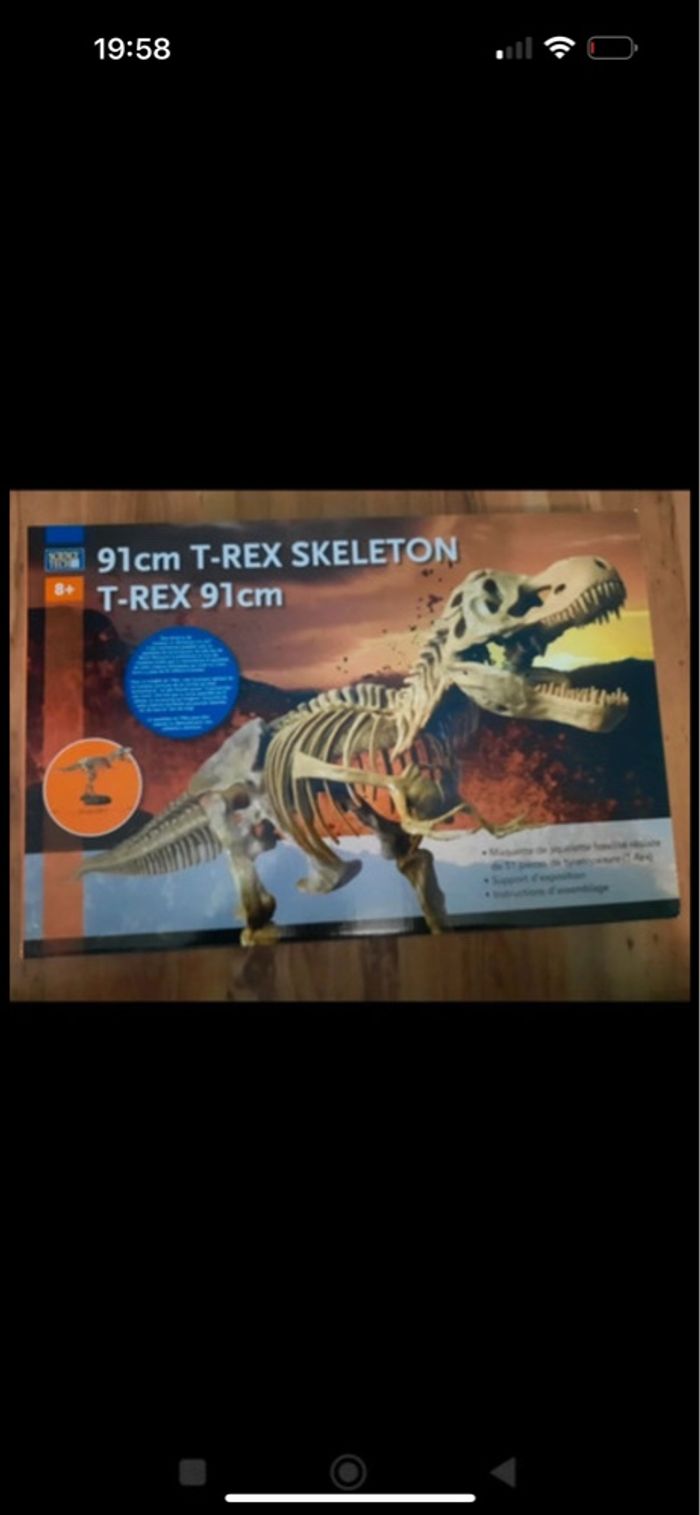 Squelette dinosaure T-REX - photo numéro 2