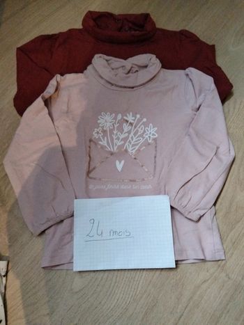 Lot 2 sous pull 24 mois Gémo