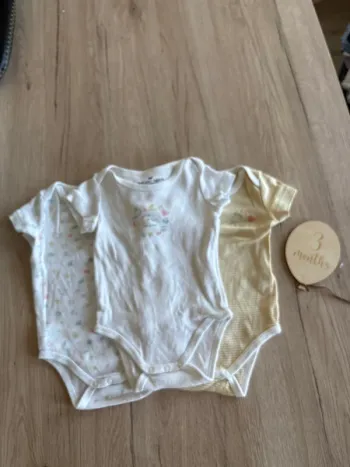 Lot de 3 bodies