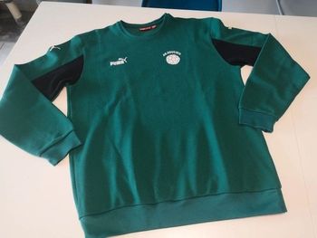 Pull vert puma M