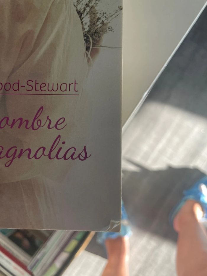Livre à l’ombre des magnolias de fiona hood-stewart - photo numéro 2