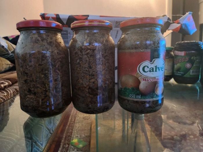 Woussoulan Encens maison grand format