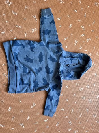 Pull à capuche dinosaure