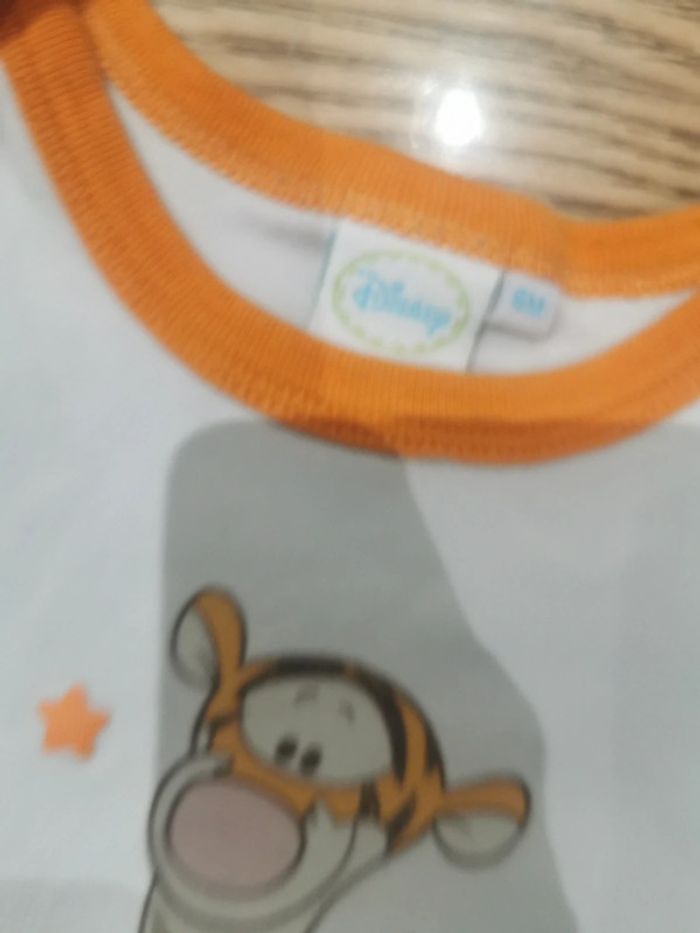 Bodies Tigrou Disney - photo numéro 2