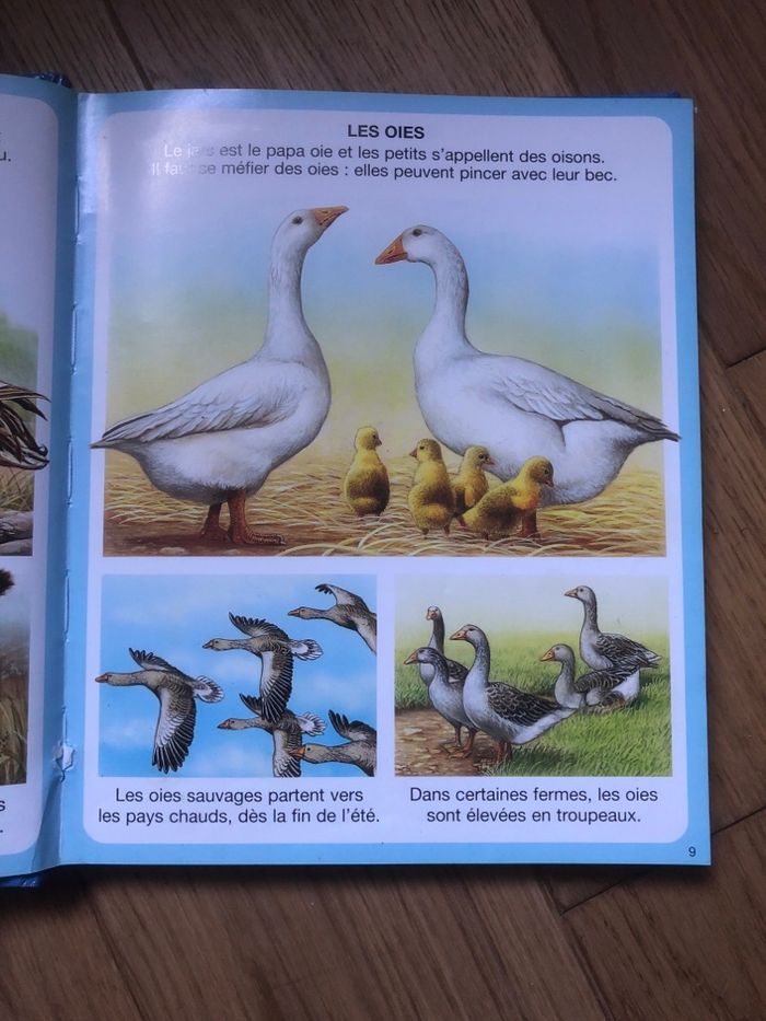 L’imagerie des animaux - photo numéro 2