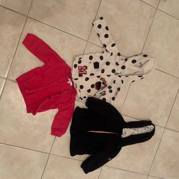 Lot 3 vestes 9 mois