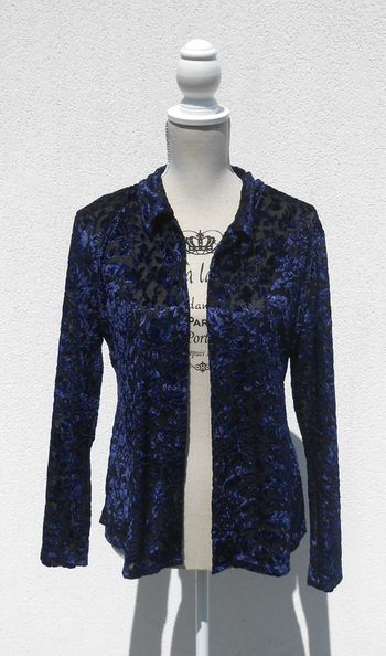 Chemise vintage transparente imprimé de fleurs en velours