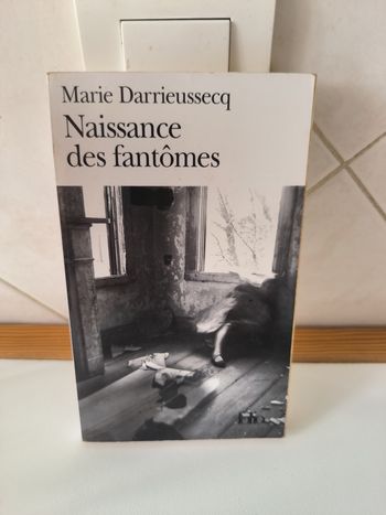 livre Naissance Des Fantômes - Darrieussecq Marie en tres bon etat ref EC
