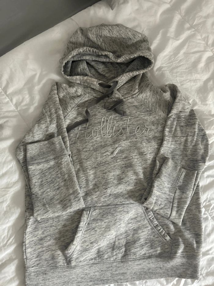 Sweat Hollister