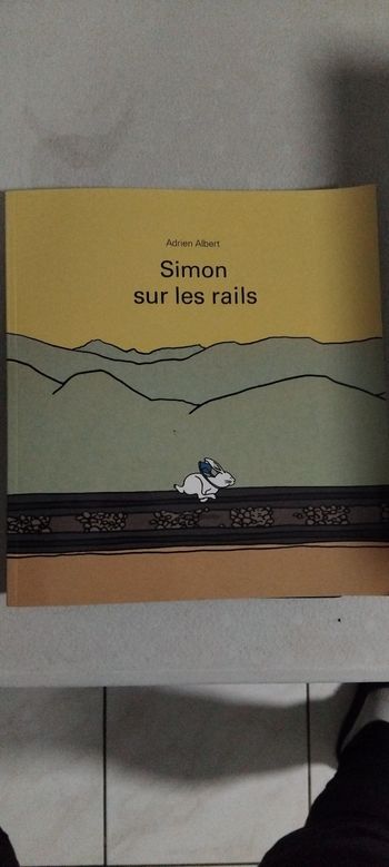 Livre enfant : Simon sur les rails
