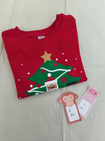 Pull de Noël enfant (3-4 ans)