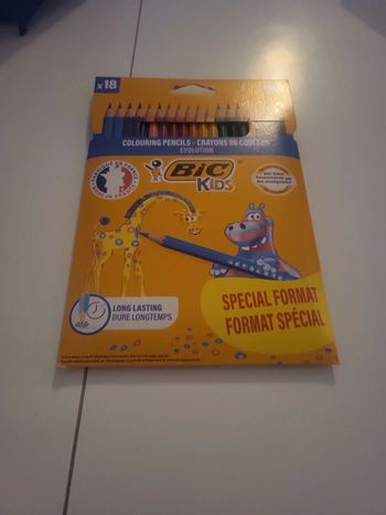 Crayon couleur bic x18