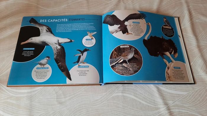 Sur les traces des dinosaures à plumes - photo numéro 5