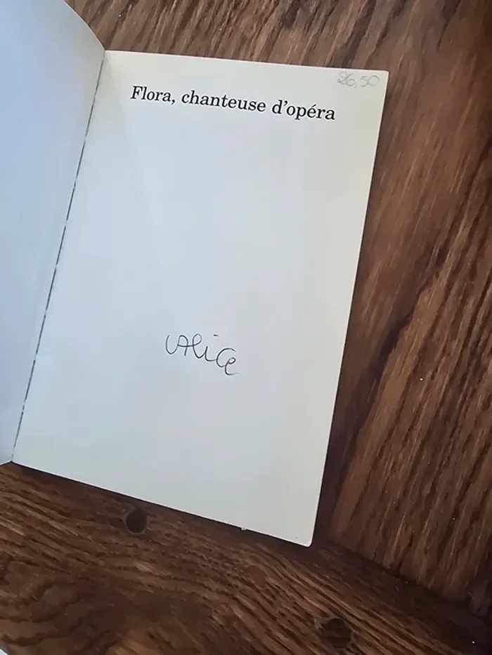 Flora chanteuse d'opéra - photo numéro 2