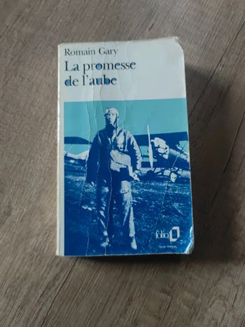 La promesse de l'aube
