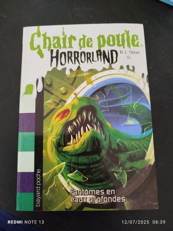 Livre horrorland chair de poule