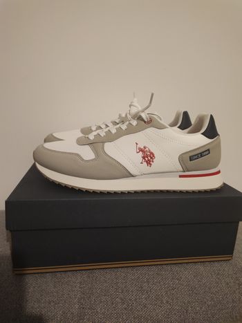 Basket usa polo taille 44