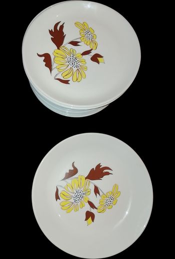 Assiettes Vintage Sovirel