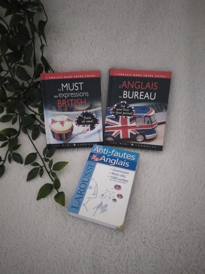 🍁50% sur les lots🍁🌸Lot de 3 livres d'anglais 🌸 - photo numéro 2