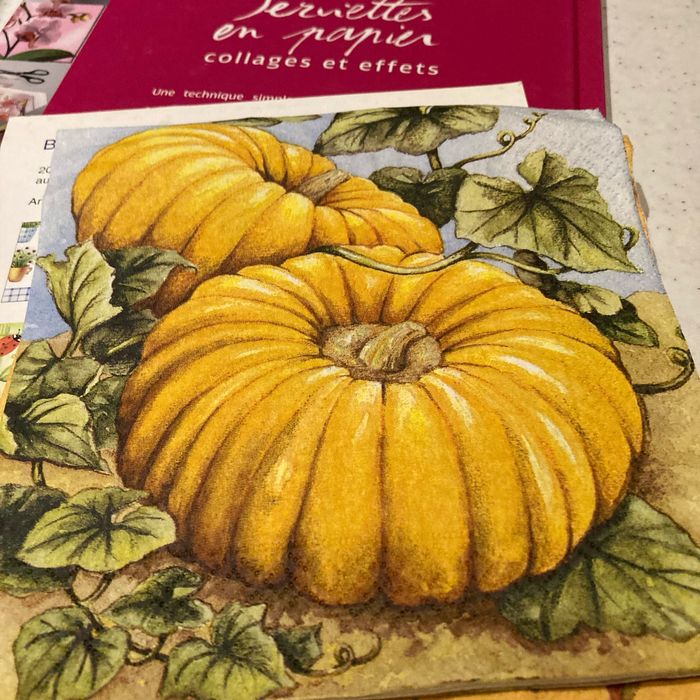 Livre serviettes en papier collages et effets avec serviettes en papiers - photo numéro 8