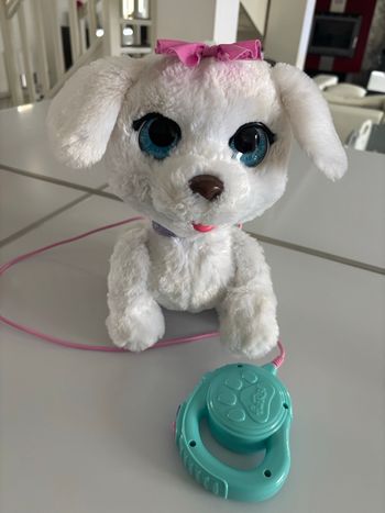 Chien interactif 