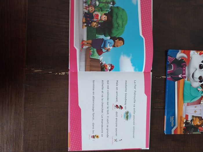 Livres Paw Patrol - photo numéro 5