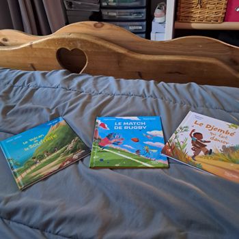 Lots  3 livres  hachette 