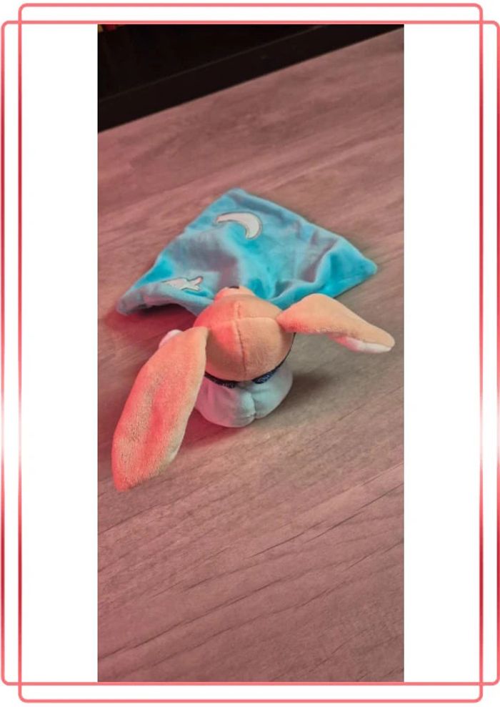 Doudou - photo numéro 2