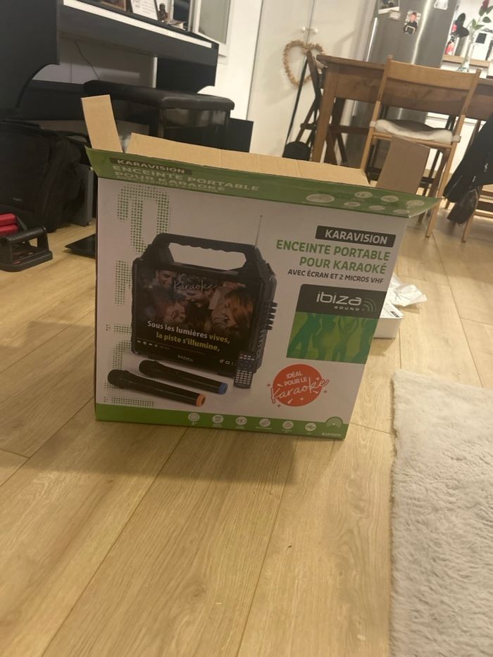 Enceinte Portable pour Karaoké - photo numéro 2