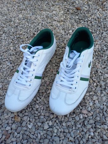 Chaussures Lacoste Misano