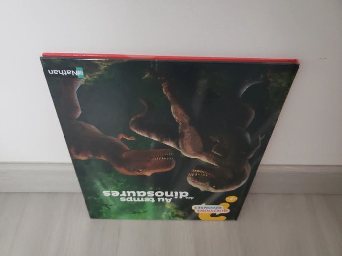 Livre au temps des dinosaures Questions Réponses - photo numéro 6