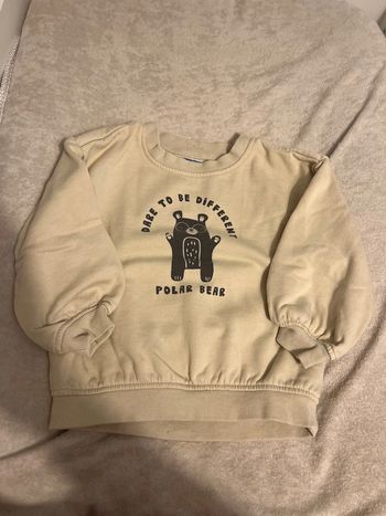 Pull polar bear