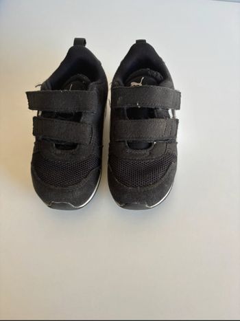 Basket puma