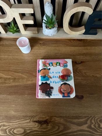 Livre l’imagerie des bébés « La vie des bébés »