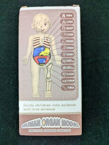 Jeu Éducatif Montessori Corps Humain - Neuf