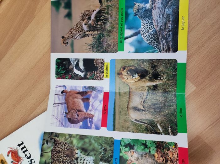 Livre les animaux - photo numéro 2