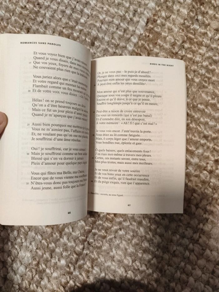 Romances sans paroles Verlaine - photo numéro 2