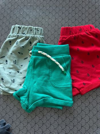 Lot 3 shorts
