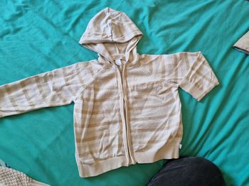 Veste a capuche rayée 18mois