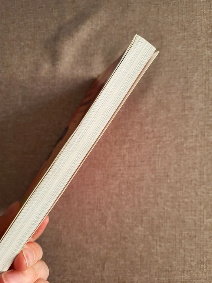 Si j'étais Fifi Brindacier - photo numéro 4