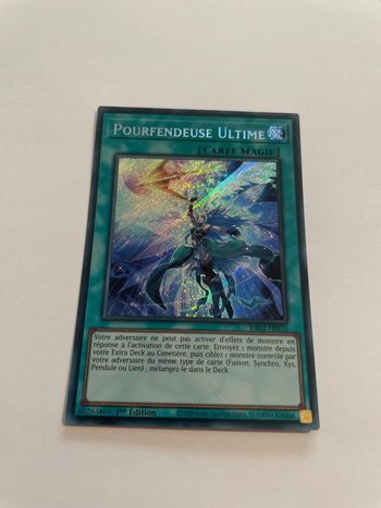 Yu-Gi-Oh! Pourfendeuse Ultime : SE RA02-FR070