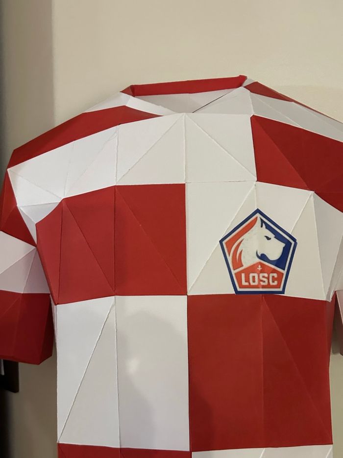 Maillot de foot LOSC pour décoration murale - photo numéro 4