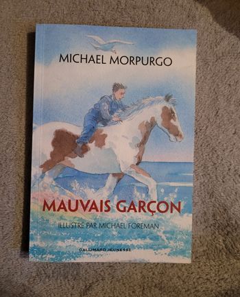 Mauvais garçon 