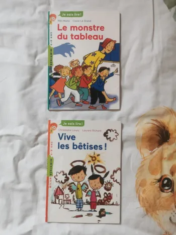 Lot 2 livres je sais lire