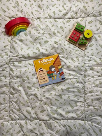 livre t'choupi à la ferme numéro 4