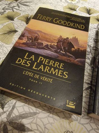 Legend of the seeker, l'épée de vérité tome 2