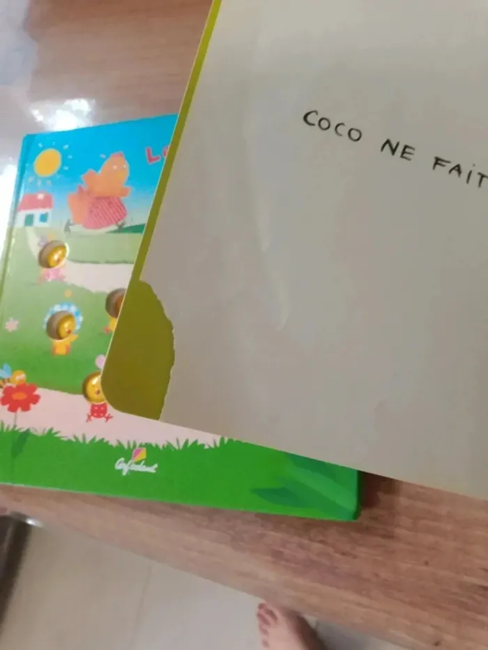 Lot de 2 livres pour enfants - photo numéro 12